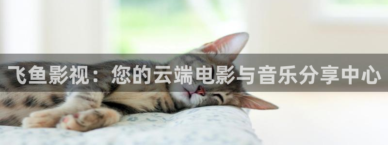 九七国际电影院：飞鱼影视：您的云端电影与音乐分享中心