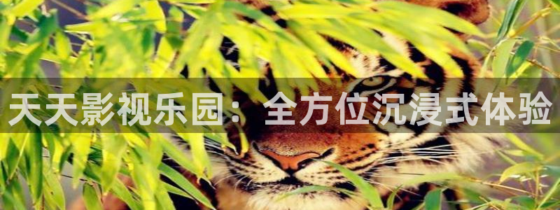 九七影院云：天天影视乐园：全方位沉浸式体验