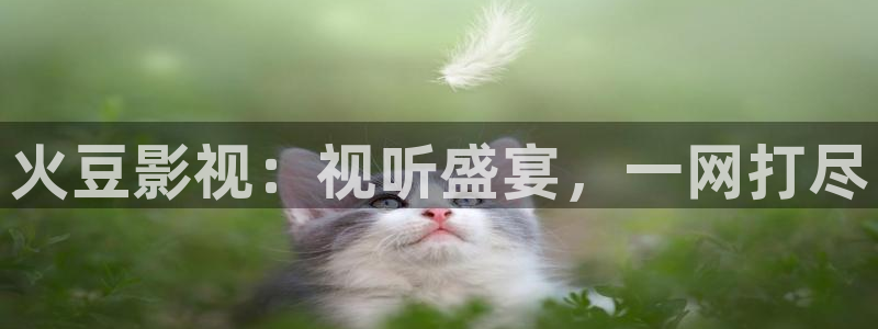 97影院九七电影院理论片：火豆影视：视听盛宴，一网打尽