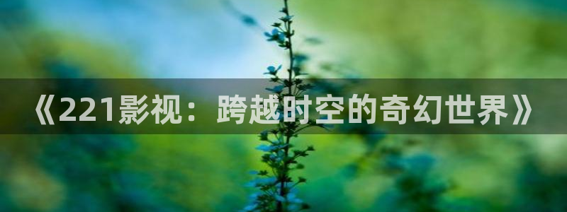 色九七电影院：《221影视：跨越时空的奇幻世界》