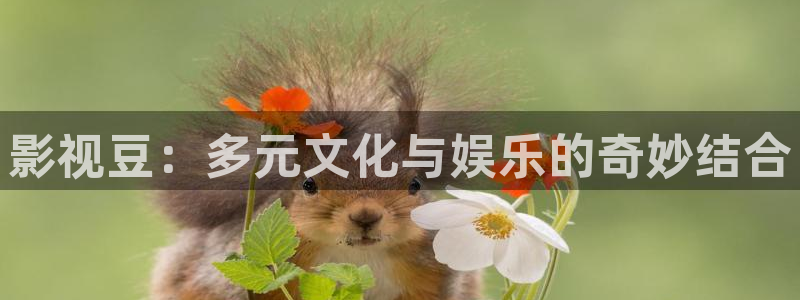 九七电影院免费看电影：影视豆：多元文化与娱乐的奇妙结合