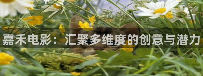 97影院九七电影网：嘉禾电影：汇聚多维度的创意与潜力