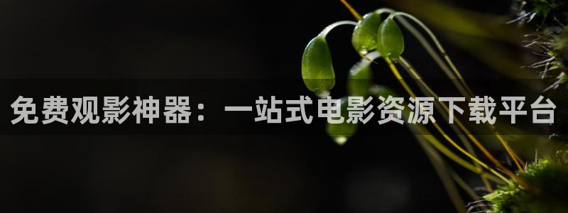 神马影院我不卡九七：免费观影神器：一站式电影资源下载平台